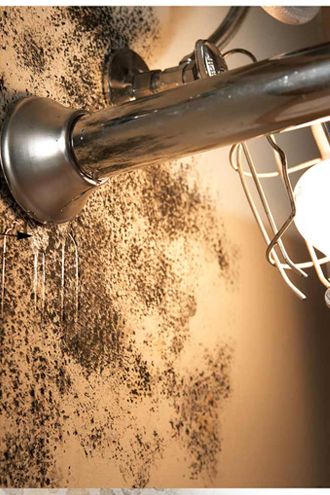 Kiểm tra hệ thống nước chống ẩm mốc cho nhà